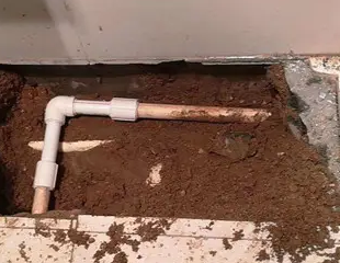 茂名测漏水哪家好