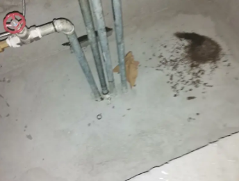 茂名卫生间测漏水价格明细